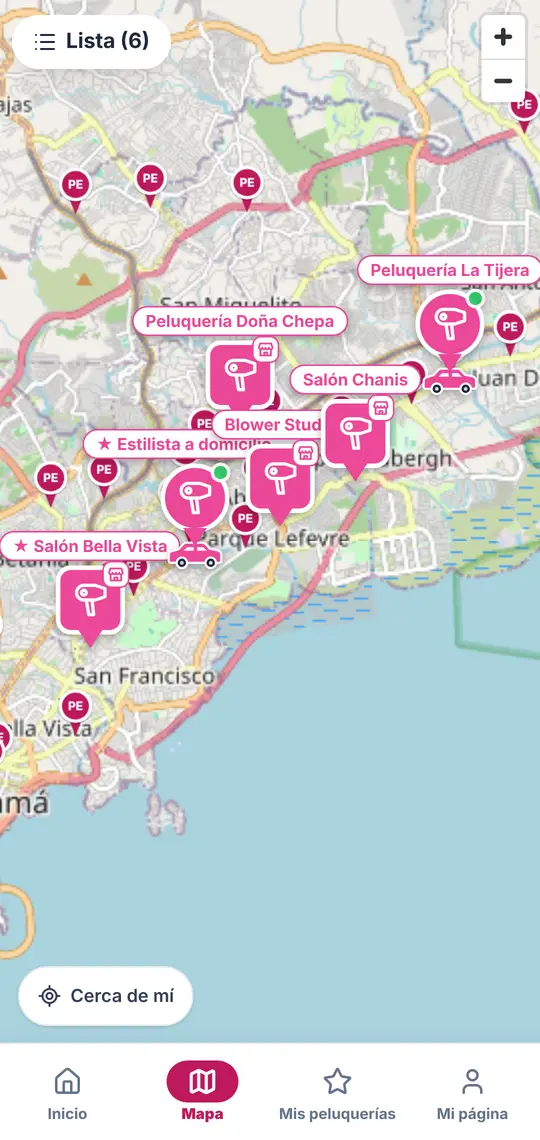 El botón Mapa: los pins grandes