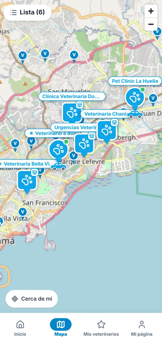 El botón Mapa: los pins grandes