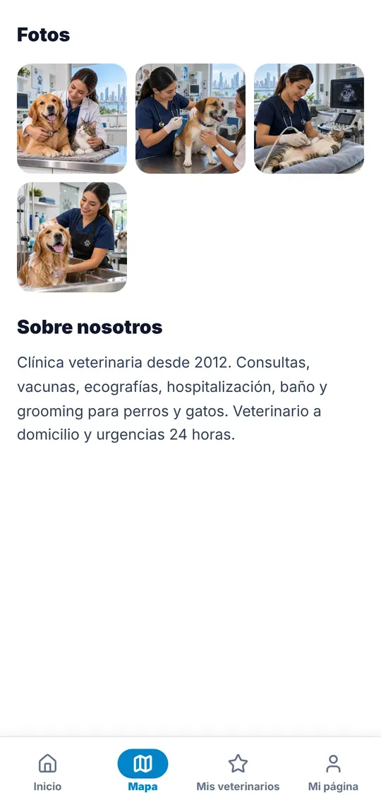 Su página › Fotos y «Sobre nosotros»